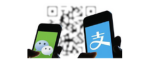 Alternative payment method partner logo 15